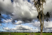 大阪钢巴凭借默契合作击败对手！